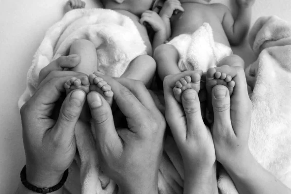 Baba ve anne yeni doğan ikizlerin bacaklarını tutuyor. Ebeveynlerin elleri ve çocuklarının ayakları.. — Stok fotoğraf