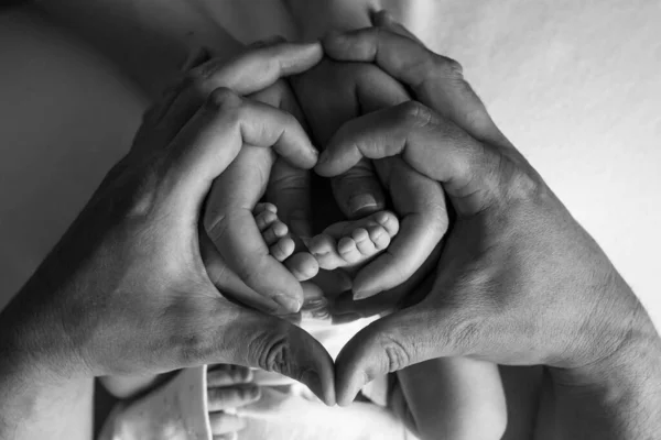 Närbild. Ett nyfött barns ben i händerna på mamma och pappa. vuxna händer håller babyfötter i form av ett hjärta. Svart och vitt foto. — Stockfoto