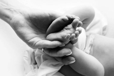 Ebeveynlerin elleri. Yeni doğan bebeğin bacakları anne ve babanın ellerinde. Ellerindeki bebek bacakları. siyah ve beyaz resimler
