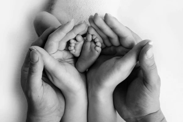 Handen van ouders. de benen van de pasgeborene in de handen van mama en papa. babys benen in zijn handen. zwart-wit foto 's — Stockfoto