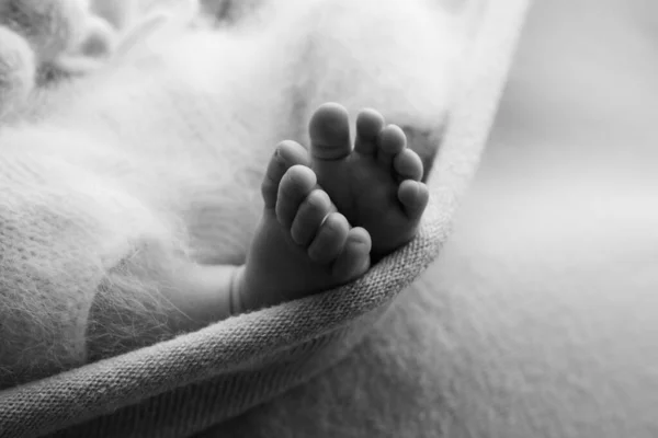 Yeni doğmuş bir bebeğin bacaklarının fotoğrafı. İzole edilmiş yün arka planla kaplı bebek ayakları. Yumuşak seçici odaklı yeni doğmuş bir bebeğin küçük ayağı. Ayak tabanının görüntüsü. — Stok fotoğraf