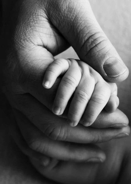 Baba yeni doğmuş bebeklerin parmaklarını tutuyor. Yeni doğmuş bir bebeğin eli. Ebeveyn ve bebeğin elleri yakın plan. Siyah beyaz fotoğraf. — Stok fotoğraf