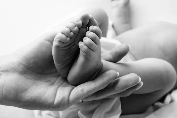 Föräldrars händer. Benen på det nyfödda barnet i händerna på mamma och pappa. Han har ben i händerna. svartvita bilder — Stockfoto