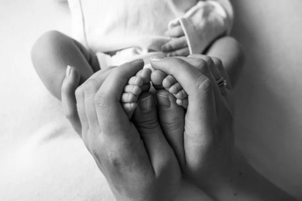 Ruce rodičů. nohy novorozence v rukou mámy a táty. Nohy má v rukách. černobílé obrázky — Stock fotografie