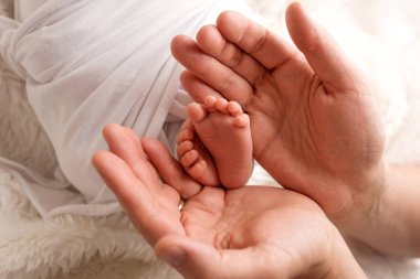 Ebeveynlerin elleri. Anne ve babanın ellerinde yeni doğan bebeğin bacakları..
