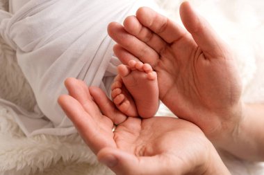 Hands of parents. The legs, feet of the newborn in the hands of mom and dad. clipart