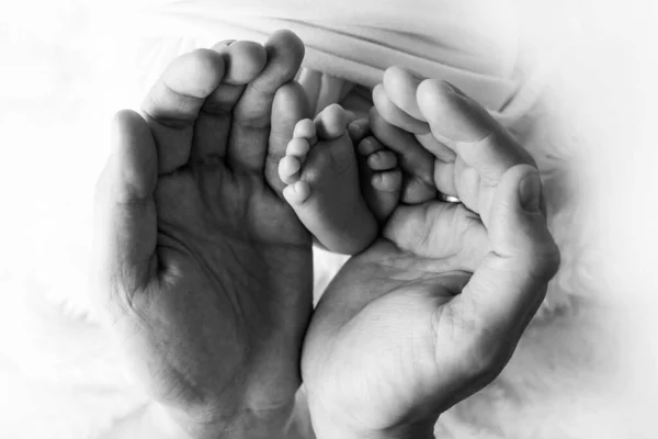 Manos de padres. Las piernas, los pies del recién nacido en manos de mamá y papá. — Foto de Stock