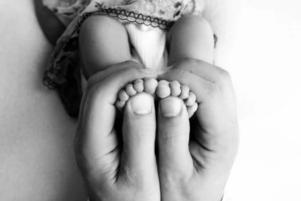 Tangan orang tua. Kaki, kaki bayi yang baru lahir di tangan ibu dan ayah. — Stok Foto
