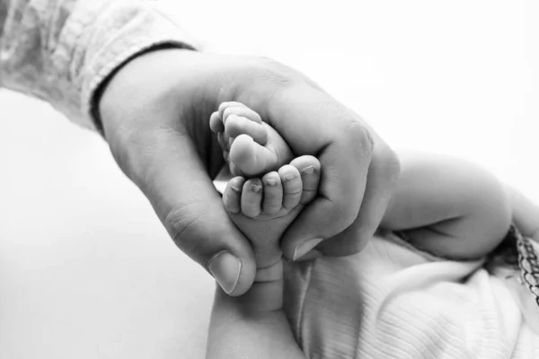 Les mains des parents. Les jambes, les pieds du nouveau-né dans les mains de maman et papa. — Photo