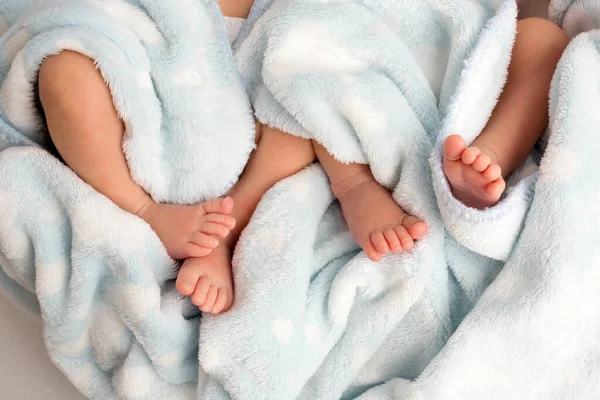 Фото ног новорожденного. Детские ножки покрыты шерстяным изолированным фоном. — стоковое фото