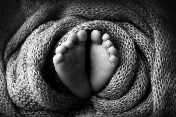 Feet of a newborn close-up in a woolen blanket. Pregnancy, motherhood, preparation and expectation of motherhood, the concept of the birth of a child. Black and white photography. — Stock Photo, Image