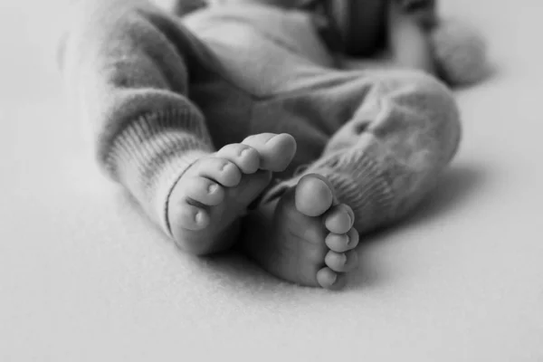 Novorozené malé nožičky zblízka. Těhotenství, mateřství, příprava a očekávání mateřství, koncept narození dítěte. Černobílá fotografie. — Stock fotografie