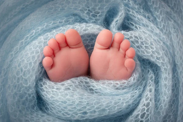 Pies de un recién nacido de cerca en una manta de lana. Embarazo, maternidad, preparación y expectativa de maternidad. —  Fotos de Stock