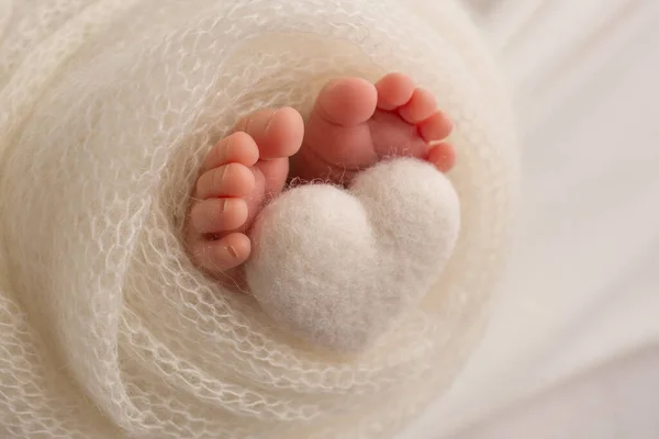 Los pies de un bebé recién nacido están envueltos en una manta de punto. Los dedos de un bebé recién nacido sostienen un corazón de punto blanco. —  Fotos de Stock