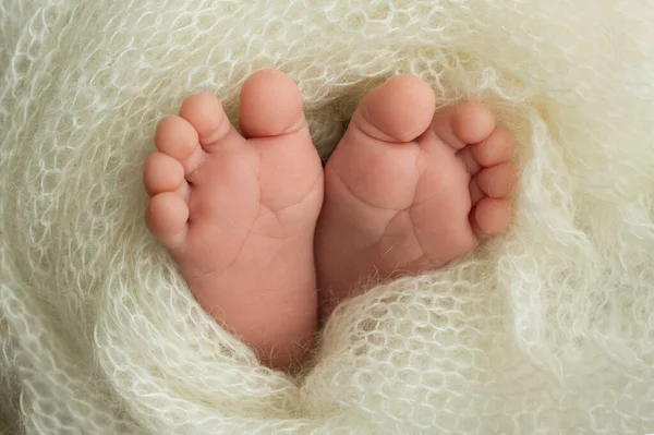 Feet of a newborn baby wrapped in a white blanket. Handle the fingers of a newborn. — Stock Photo, Image