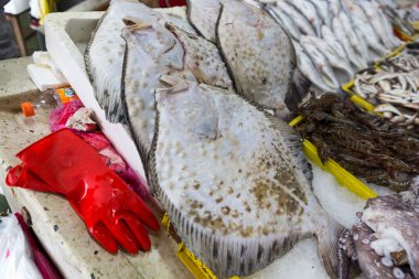 Batumi Georgia 'daki taze deniz ürünleri pazarı. Buzda canlı balık. Flounder, kırmızı kefal, somon, yayın balığı, yılan balığı, kurbağa, vatoz, mersin balığı, midye, istiridye..