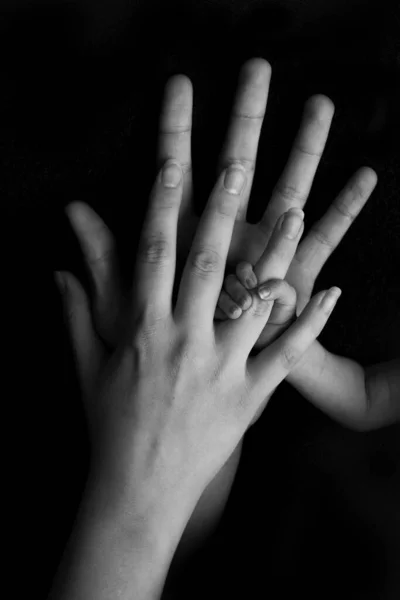 Newborn baby holding hands of father and mother on black background, — Stock Photo, Image