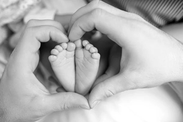 Fötter av den nyfödda i händerna på mamma närbild. Hjärtat. Mamma och hennes barn. — Stockfoto