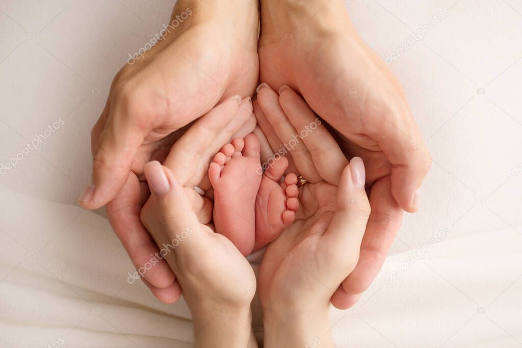 the legs of the child in the arms of our mother and father. feet of a newborn baby. little baby legs.