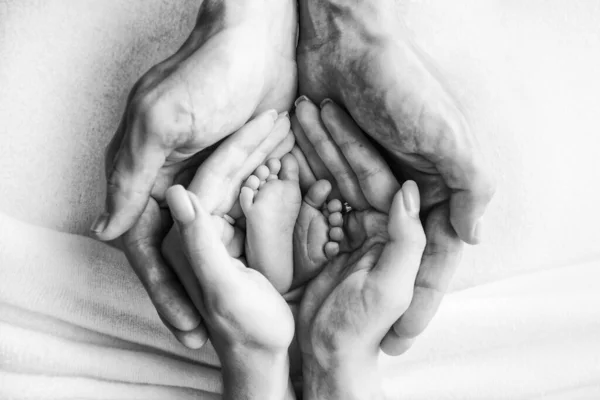 As pernas da criança nos braços de nossa mãe e pai. pés de um bebê recém-nascido. Pequenas pernas de bebé. foto preto e branco — Fotografia de Stock