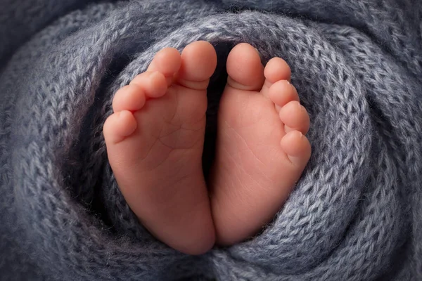 Pies de un bebé recién nacido, una suave manta de punto de color gris, dedos de los pies y talones de un recién nacido, fotografía de estudio. —  Fotos de Stock