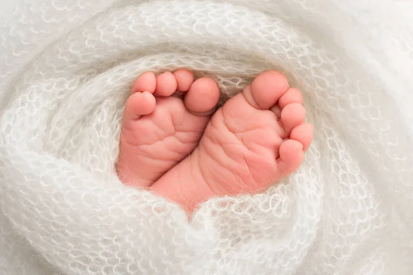 Pies de un bebé recién nacido, una suave manta de punto de color blanco, dedos de los pies y talones de un recién nacido, fotografía de estudio. —  Fotos de Stock