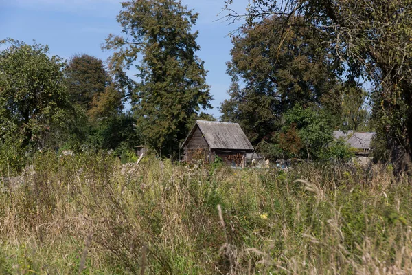 Altes verlassenes Dorfhaus aus Holz. Sommer, grünes Gras und Bäume. — Stockfoto