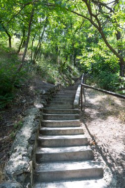 Georgia 'nın Tiflis kentindeki eski binaya giden merdiven. Eski kentin mimarisi. Taş merdiven. 