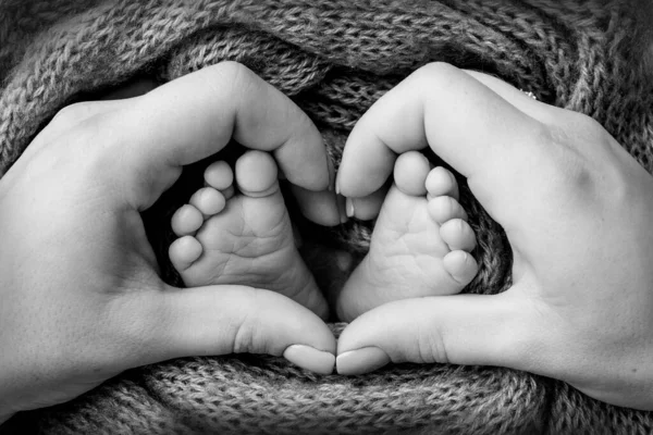 Mother holds the bare feet of the newborn. Tiny legs in a womans hand. Mothers fingers in the shape of a heart. Cozy morning at home. Black and white photo. — Stock Photo, Image