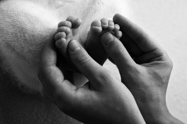 Matka drží bosé nohy novorozence. Malé nožičky v ženské ruce. Útulné ráno doma. Černobílá fotografie. — Stock fotografie