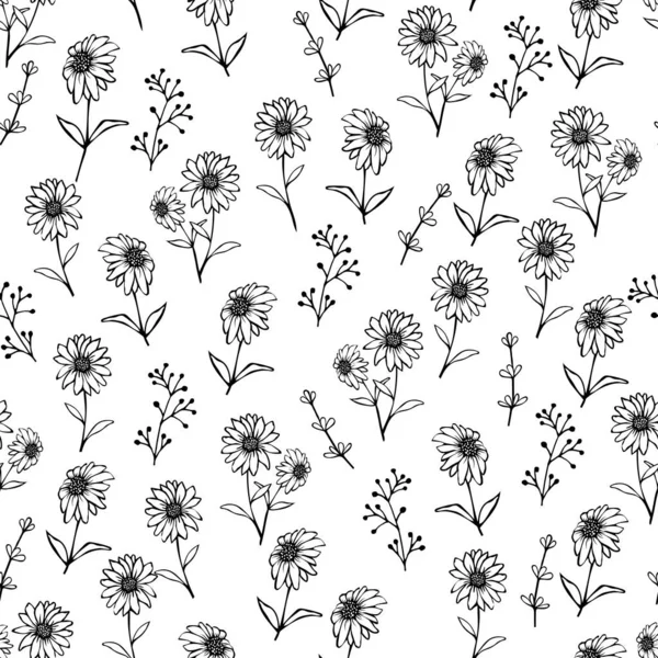 Fleurs Camomille Contour Doodle Noir Isolées Sur Fond Transparent Illustration — Image vectorielle