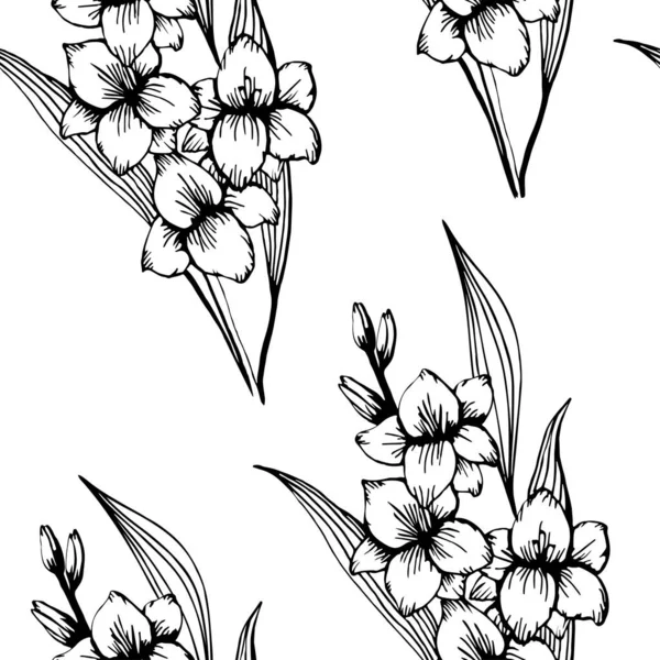 Fleurs Gladiole Contour Doodle Noir Isolées Sur Fond Transparent Illustration — Image vectorielle