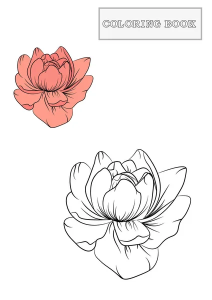 Fleur Pivoine Dessinée Main Page Livre Coloriage Adulte Avec Modèle — Image vectorielle