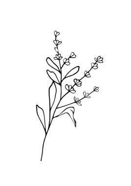 Elle çizilmiş lavanta renkli yetişkin boyama kitabı sayfası. Doodle tarzı. Beyaz arka planda siyah ve beyaz taşıyıcı hastalığı var. A4.