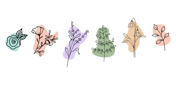 Flores Hojas Dibujadas Mano Estilo Moderno Formas Orgánicas Doodle Flores — Vector de stock
