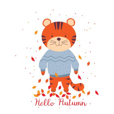 Merhaba Autumn. Sonbahar yapraklarında mavi kazak giyen kaplan yavruları. Düz stil. Kartlar, baskılar ya da posterler için beyaz arka planda şirin çizgi film kaplanlarının vektör çizimi.