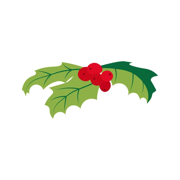 Holly Ilex Branch Con Berry Hojas Muérdago Símbolo Celebración Navidad — Archivo Imágenes Vectoriales