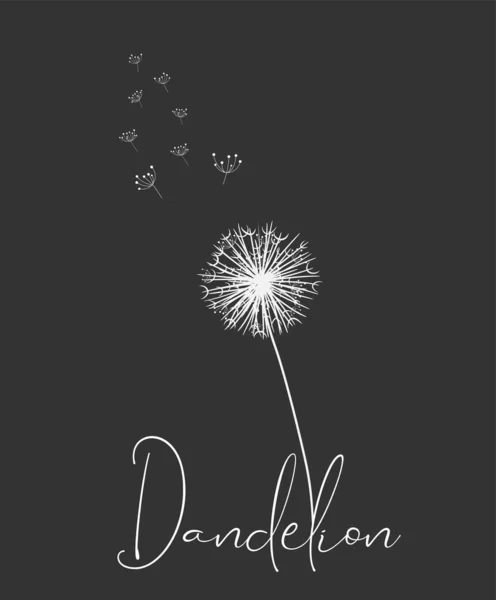 White Dandelion Com Sementes Voadoras Fundo Preto Ilustração Vetorial Para — Vetor de Stock