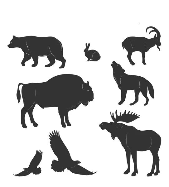 Conjunto de animales, bestias salvajes, vactor — Vector de stock