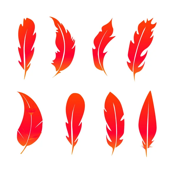 Grupo vectorial de plumas — Vector de stock