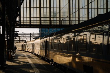 Amsterdam Merkez Tren İstasyonu