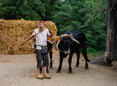 Alphen aan den Rijn 'deki Archeon Tarihi Tema Parkı