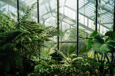 Kraliyet Botanik Bahçeleri 'ndeki Galler Prensesi Konservatuarı, Londra Kew