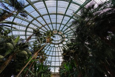 Brüksel Kraliyet Botanik Bahçeleri