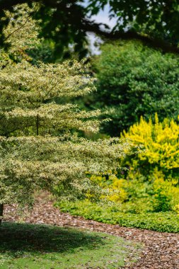 Klein Boskoop garden in Stroe
