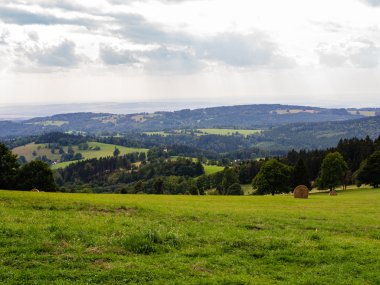 Çim ve beyaz bulutlu gökyüzü, doğal