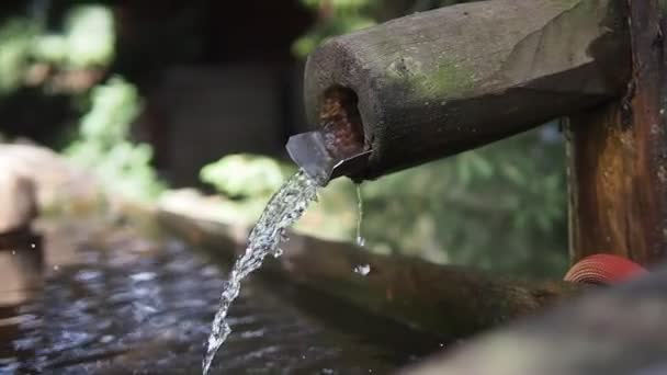 Water flowing from wooden pipe, fountain, waterplace — Stock Video