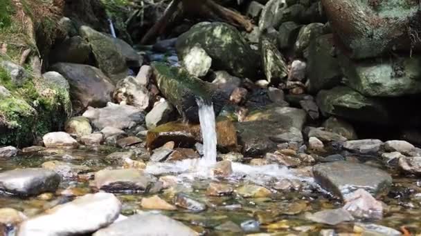 ウォータープレイス噴水、木製パイプから流れる水 — ストック動画