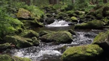 Otantik sesli kayalar arasında akan dere
