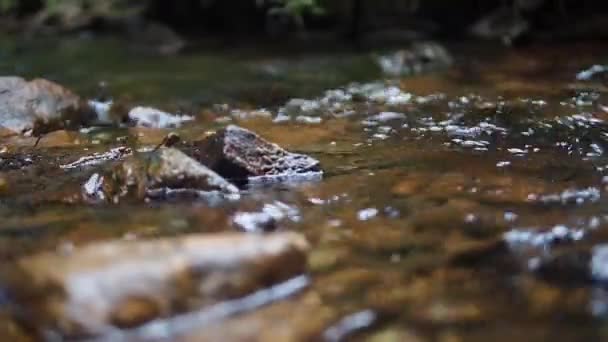 Corriente que fluye entre rocas con sonido auténtico — Vídeo de stock